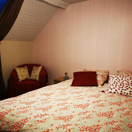 Domaine De L'Esperance, Chambre Rose Bed & Breakfast Bersaillin Екстериор снимка
