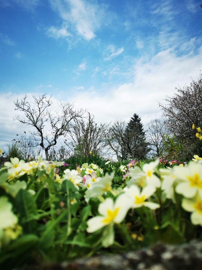 Domaine De L'Esperance, Chambre Rose Bed & Breakfast Bersaillin Екстериор снимка