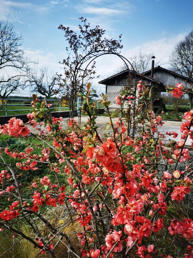 Domaine De L'Esperance, Chambre Rose Bed & Breakfast Bersaillin Екстериор снимка