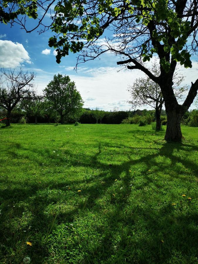 Domaine De L'Esperance, Chambre Rose Bed & Breakfast Bersaillin Екстериор снимка